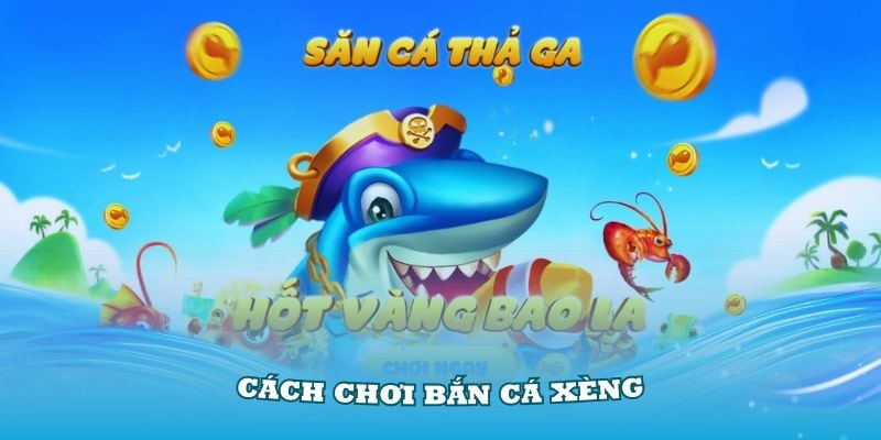 Một số lưu ý đăng ký caxeng là gì ?