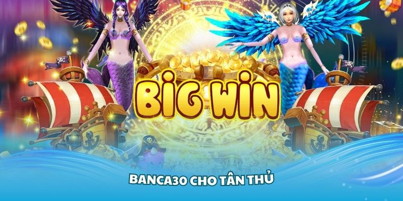 Những mẹo kiếm tiền từ Banca30